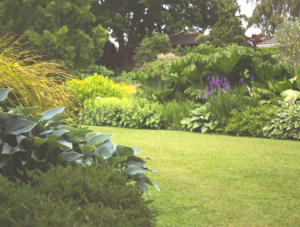 backyard with flower beds and pathway