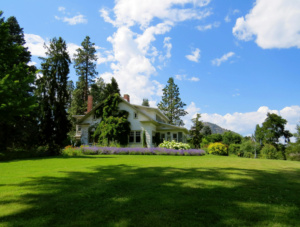 northside front lawn with landscaping